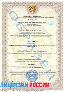 Образец разрешение Тында Сертификат ISO 50001